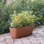 DEROMA Jardinière Origin Terre cuite 11,6 L