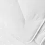 Toison D'Or Couette Bamboo 300 g/m² en viscose de bambou tempérée - Blanc - 220 x 240 cm - Naturellement antibactérienne et anallergique