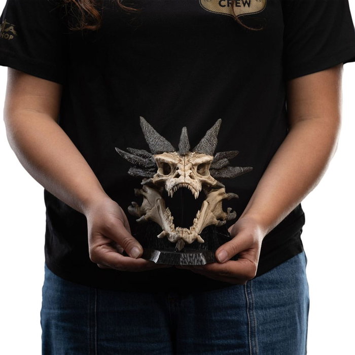 Le Seigneur des Anneaux statuette Skull of Smaug 22 cm Le Seigneur des Anneaux statuette Skull of Smaug 22 cm