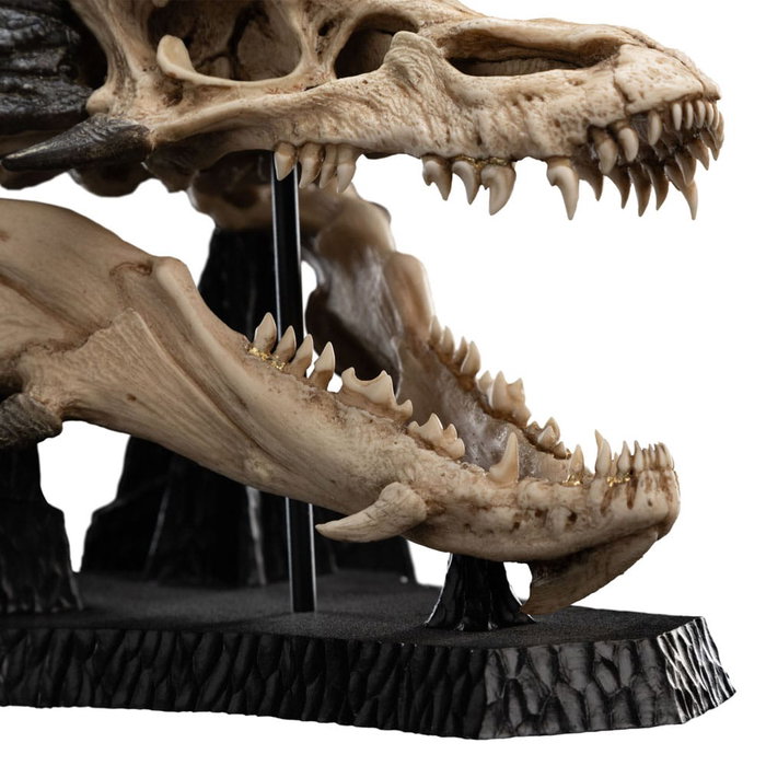 Le Seigneur des Anneaux statuette Skull of Smaug 22 cm Le Seigneur des Anneaux statuette Skull of Smaug 22 cm