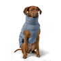Vêtements pour animaux de compagnie Hunter PAXSON Bleu Polyester