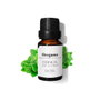 Daffoil Huile Essentielle Origan 10 ml Pure Bio Aromathérapie Cosmétique Santé Remèdes Naturels Antibactérienne Antivirale Antifongique