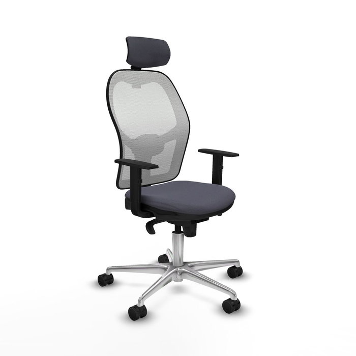 Piqueras y Crespo Chaise de Bureau 1D086N2 Gris foncé Piqueras y Crespo Chaise de Bureau 1D086N2 Gris foncé