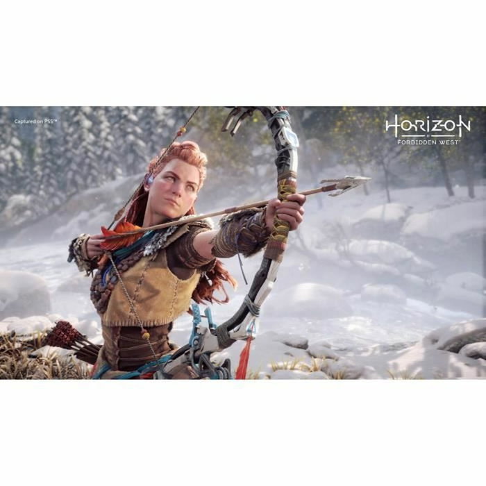 Sony Computer Entertainment Horizon: Forbidden West PS4