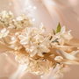 Elie Saab LE PARFUM Eau de Parfum 50 ml