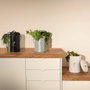Livoo Seau à compost de cuisine MES154N - 6 L
