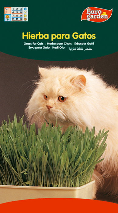 SEMILLAS FITO AROMATICAS HIERBA PARA GATOS 04262 (Caja de 10) SEMILLAS FITO AROMATICAS HIERBA PARA GATOS 04262 (Caja de 10)