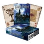 Aquarius Harry Potter jeu de cartes à jouer Wizarding World