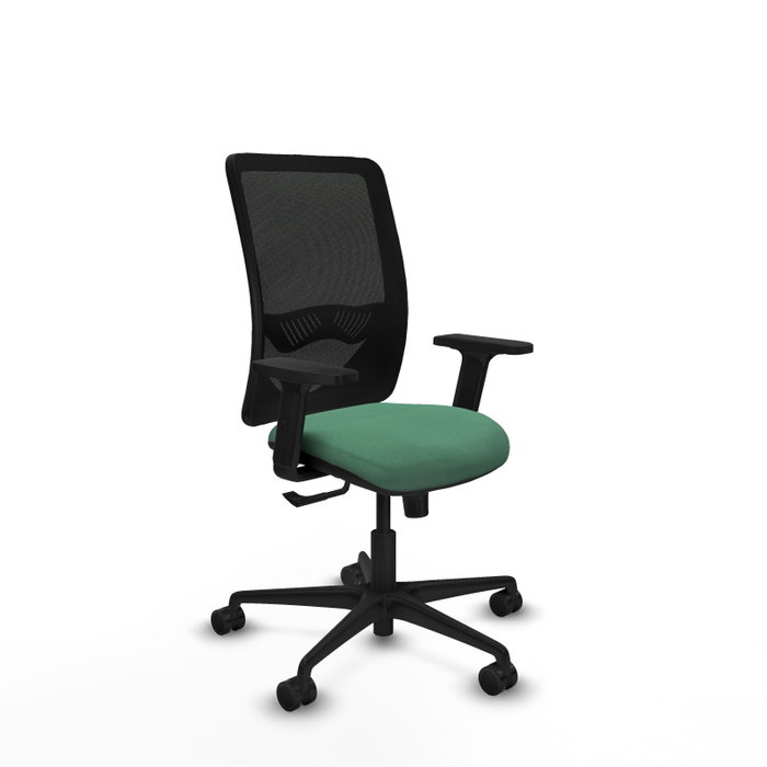 PIQUERAS Y CRESPO Chaise Zulema Synchro Vert émeraude et Noir PIQUERAS Y CRESPO Chaise Zulema Synchro Vert émeraude et Noir