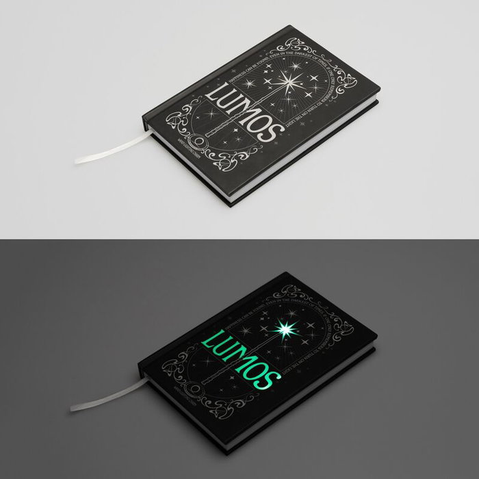 Harry Potter carnet de notes A5 Premium avec la lumière Lumos Maxima Harry Potter carnet de notes A5 Premium avec la lumière Lumos Maxima