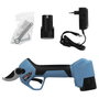 WOLFPACK LINEA PROFESIONAL Ciseaux de taille à batterie 21V/2Ah (2 batteries)