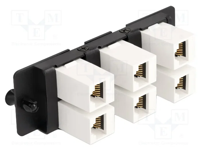 DELOCK Panneau de brassage Cat 6a 1U 19 pouces noir avec 6 ports RJ45 DELOCK Panneau de brassage Cat 6a 1U 19 pouces noir avec 6 ports RJ45