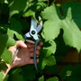 Grouw Lot de 2 sécateurs de jardin