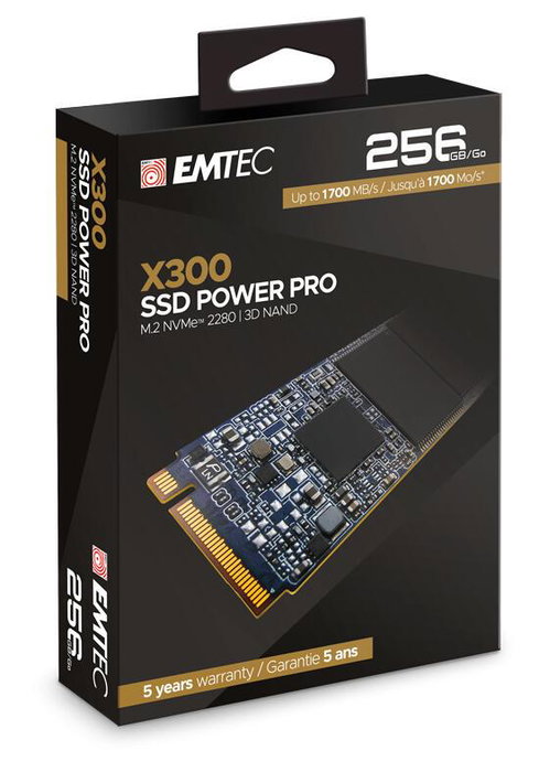 Emtec SSD M.2 X300 256 Go Noir