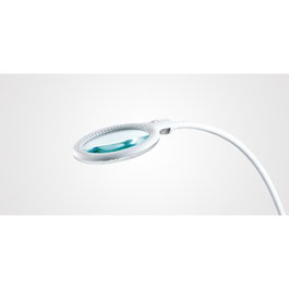 Perfect Beauty Lampara Owl Clip LED
