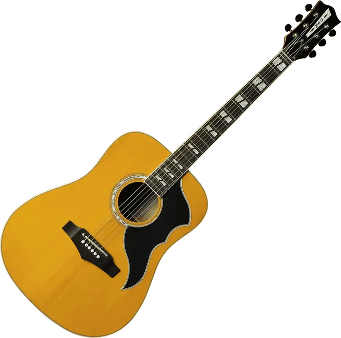 EKO Guitare Acoustique Dreadnought Ranger 6 Cordes Naturelle