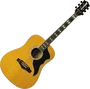 EKO Guitare Acoustique Dreadnought Ranger 6 Cordes Naturelle