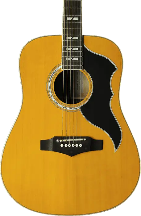 EKO Guitare Acoustique Dreadnought Ranger 6 Cordes Naturelle