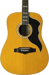 EKO Guitare Acoustique Dreadnought Ranger 6 VR - Naturel