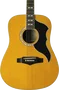 EKO Guitare Acoustique Dreadnought Ranger 6 Cordes Naturelle