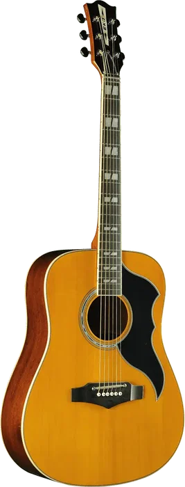 EKO Guitare Acoustique Dreadnought Ranger 6 Cordes Naturelle