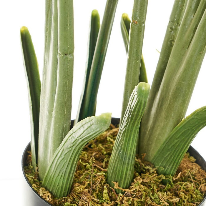 Plante décorative Polyéthylène Plastique Palmier 45 x 45 x 114 cm