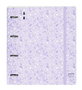 Safta Carpeblock PP Foam 4, tapis de jeu puzzle mousse 35 mm avec pièce de rechange "Light Purple Flowers" 27 x 32 x 4 cm pour enfants à partir de 3 ans