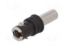4CARMEDIA Connecteur d'antenne SNAP mâle droit pour Audi (RG174)