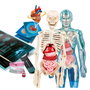 Clementoni Superanatomía