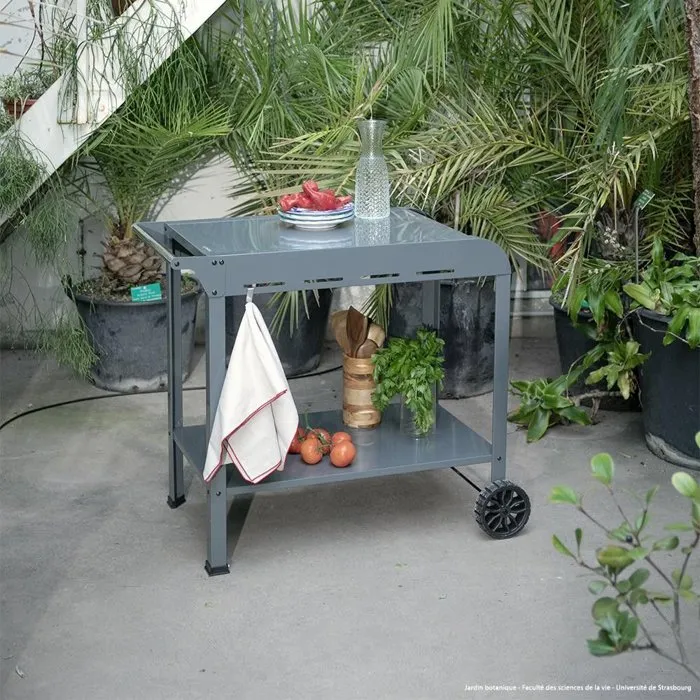 Livoo Desserte GS168G pour Plancha - Structure Acier, 2 Roues Crantées, Plateaux 70 x 50 cm et 79 x 49 cm, Panier de Rangement Inclus