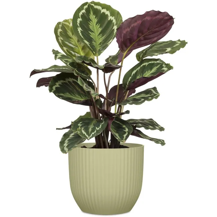 Deroma 231 Pot de Fleurs Rond 10 Litres Vert Ø 27 cm - Design Élégant et Contemporain pour Intérieur et Extérieur