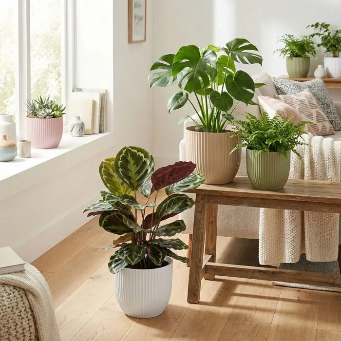 Deroma 231 Pot de Fleurs Rond 10 Litres Vert Ø 27 cm - Design Élégant et Contemporain pour Intérieur et Extérieur