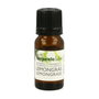 Terpenic Huile Essentielle Lemongrass BIO 10 ml