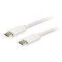 Câble USB-C vers USB-C Equip 128351 1 m Blanc