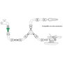 SATURNIA Raccord tuyau plastique 3/4 femelle blister