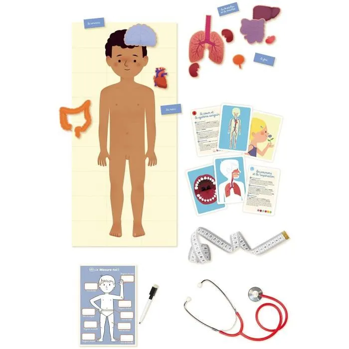 Nathan Coffret éducation positive Rythme Corps Humain Nathan Coffret éducation positive Rythme Corps Humain