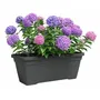 ARTEVASI Jardinière VENEZIA L en Plastique Anthracite Rectangulaire 80 Litres - L 77.9 x P 24 x H 22 cm