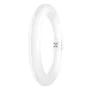 Ledvance Tubo LED T9 G10q 11W 1200Lm 3000K 110º IP20 LVE-4099854042447