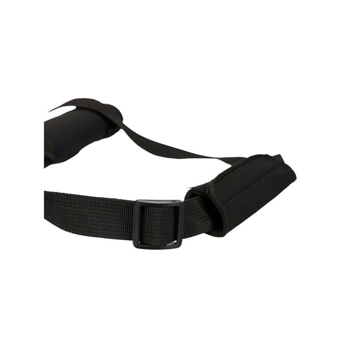 Promeneur de chiens Trixie