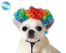 Perruque multicolore pour animaux