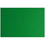Papier carton Sadipal LR 200 Vert foncé 50 x 70 cm Texturisée (20 Unités)