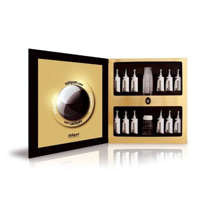 Valquer - Traitement Capillaire Régénérant Professionnel - Soin Hydratation Intense pour Cheveux Secs et Abîmés - Avec Kératine, Collagène et Acide Hyaluronique Valquer - Traitement Capillaire Régénérant Professionnel - Soin Hydratation Intense pour Cheveux Secs et Abîmés - Avec Kératine, Collagène et Acide Hyaluronique