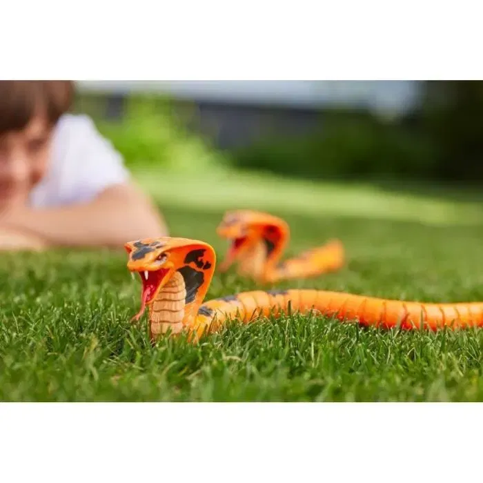 Zuru Robo Alive Serpent Cobra Robotisé - Déplacement Sinueux et Langue Mobile avec Effets Effrayants - Jouet Interactif