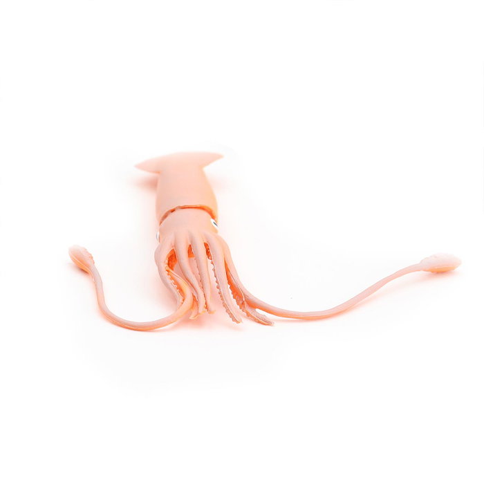 Tachan Blister Océano 6 Pièces 7104 - 6 Animaux Thématiques Plastique, Curiosité et Apprentissage de la Nature, À Partir de 3 Ans