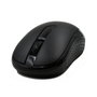 Ewent EW3223 Souris Optique Sans Fil 1000dpi avec Nano Récepteur USB
