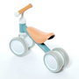 Molto Correpasillos Bébé Trotteur sans Piles - Trotteur Bébé 1 an et Plus, Bleu, Supporte 20 kg, Dimensions 38.5x25 cm