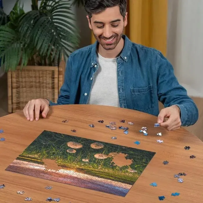Ravensburger Puzzle 12000592 - 500 Pièces - Pissenlits au Crépuscule - Qualité Supérieure - Dès 12 Ans