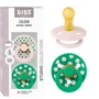Bibs Sucette bébé Studio Colour Ronde T2 Petal Cactus - Pack de 2