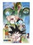 Sd Toys Poster 3D Dragon Ball Shenron And Heroes 38x58 cm PVC Officiel