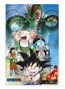 Sd Toys Poster 3D Dragon Ball Shenron And Heroes 38x58 cm PVC Officiel
